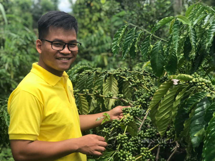 Anh Y Pốt Niê - Nông dân Việt Nam xuất sắc năm 2022 ở Đắk Lắk xây dựng thương hiệu cho sản phẩm cà phê. Ảnh: D.V