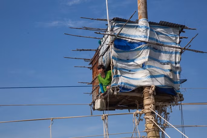 Phim khai thác cuộc sống của người dân miền Tây sông nước.