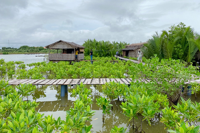 Phủ xanh 8 ha diện tích rừng ngập mặn trong tổng số 23 ha mặt nước tại Nông trại sinh thái Người Giữ Rừng Phủ xanh 8 ha diện tích rừng ngập mặn trong tổng số 23 ha mặt nước tại Nông trại sinh thái Người Giữ Rừng