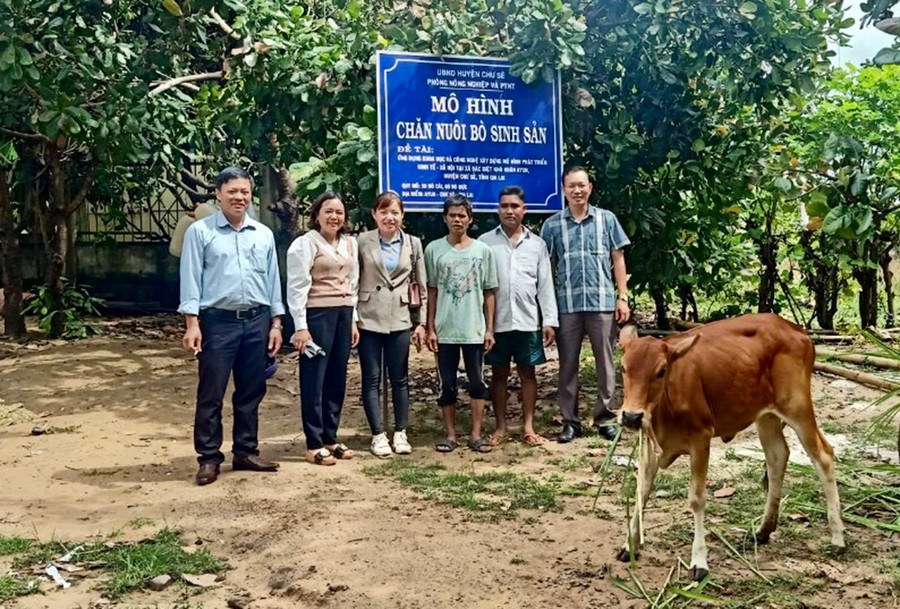 Sau hơn 2 năm mô hình trồng cỏ nuôi bò sinh sản với 50 hộ tham gia đã đẻ được 54 bê con. Ảnh: Lê Nam  Sau hơn 2 năm các con bò cái sinh sản đã đàn bò cái đã sinh sản được 54 bê con. Ảnh: Lê Nam