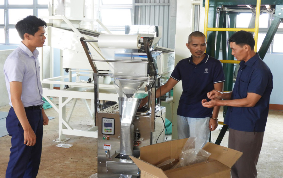 Xưởng chế biến hồ tiêu sạch của Hợp tác xã Nông nghiệp và dịch vụ Nam Yang, huyện Đak Đoa. Ảnh: Thanh Nhật