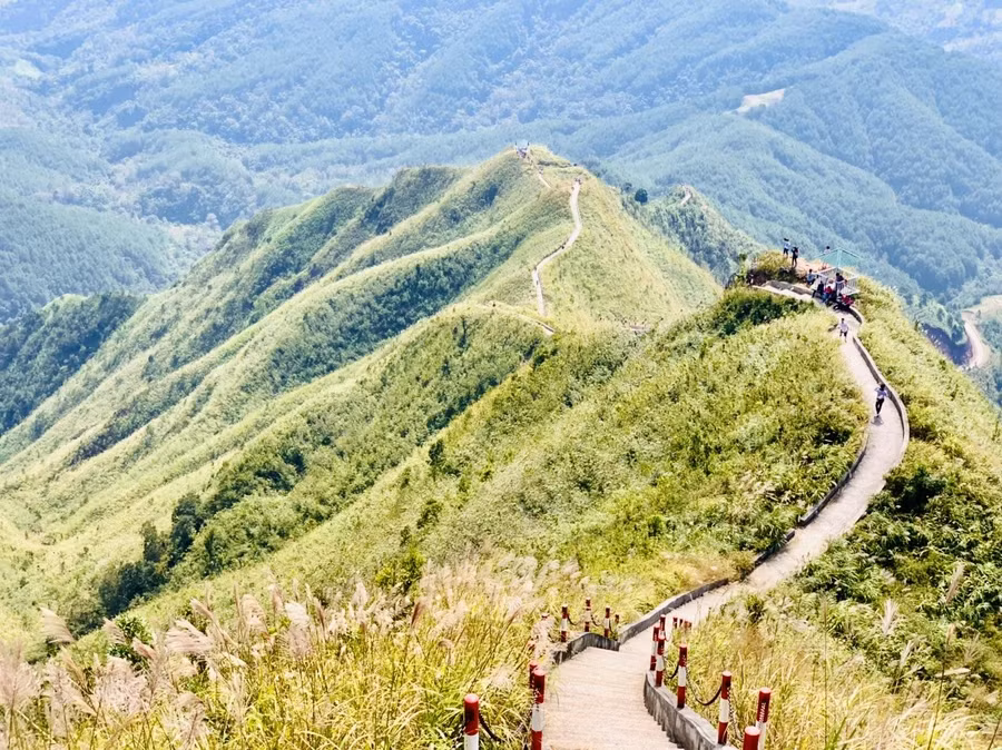 Sống lưng Khủng Long.