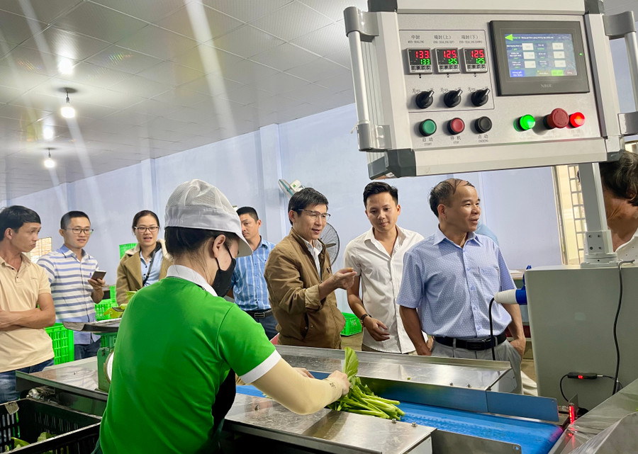 Đề án “Hỗ trợ ứng dụng máy móc thiết bị tiên tiến trong chế biến bảo quản thực phẩm, đồ uống” gồm máy đóng gói tự động có công suất 40-120 gói/phút. Ảnh: Phương Nguyên Đề án “Hỗ trợ ứng dụng máy móc thiết bị tiên tiến trong chế biến bảo quản thực phẩm, đồ uống” gồm máy đóng gói tự động có công suất 40-120 gói/phút. Ảnh: Vũ Thảo