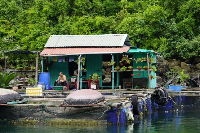 Cần phục dựng làng chài để phát huy những văn hóa của di sản vịnh Hạ Long. Ảnh: Hoàng Dương