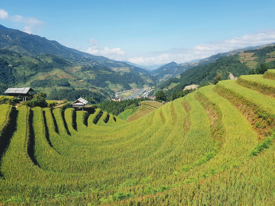 Những thửa ruộng bậc thang là những bức tranh đẹp. Những thửa ruộng bậc thang là những bức tranh đẹp.