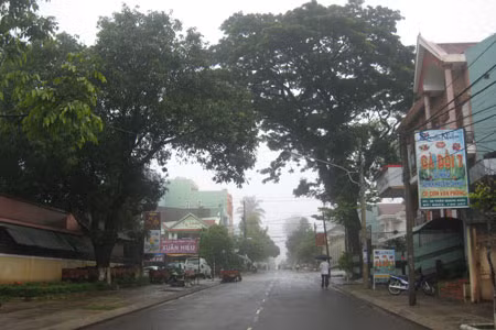 Đường Trần Quang Khải- TP.Pleiku. Ảnh: Hà Duy