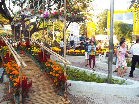 Người dân háo hức dạo đường hoa.