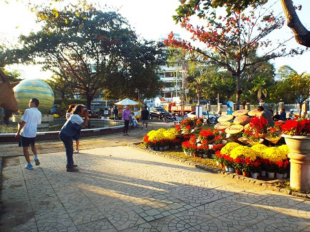 Hội hoa Xuân Yến Phi - Nha Trang, điểm tham quan hấp dẫn dành cho du khách và người dân trong dịp Tết