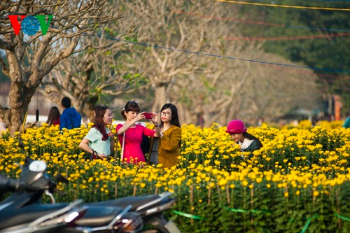 Các bạn trẻ cùng nhau ghi lại khoảnh khắc đẹp tại chợ hoa Xuân