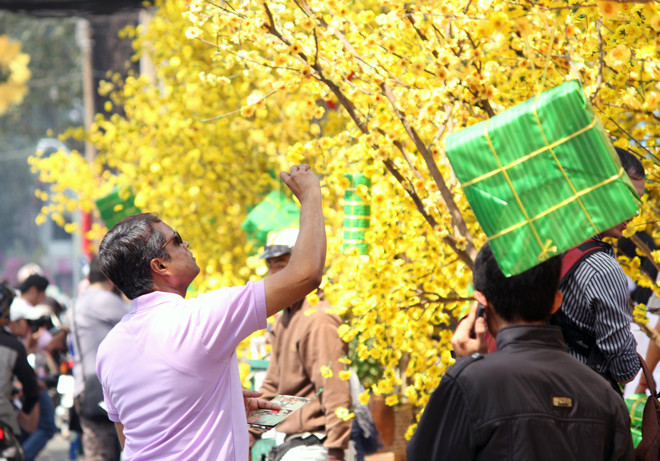 Người nước ngoài cũng dừng chân ghi lại cảnh sắc Tết trên đường phố Sài Gòn.