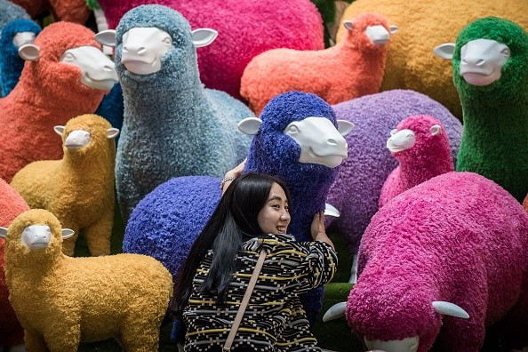 Một phụ nữ Hong Kong, Trung Quốc, chụp với gian hàng trưng nhiều mẫu cừu trang trí đủ màu sắc ở một siêu thị vào ngày 18-2. Khác với Việt Nam, năm âm lịch sắp tới của Trung Quốc là năm con cừu.