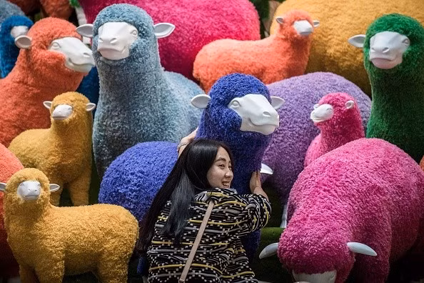 Một phụ nữ Hong Kong, Trung Quốc, chụp với gian hàng trưng nhiều mẫu cừu trang trí đủ màu sắc ở một siêu thị vào ngày 18-2. Khác với Việt Nam, năm âm lịch sắp tới của Trung Quốc là năm con cừu.