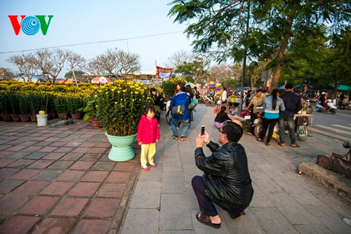 Tạo dáng bên hoa xuân.