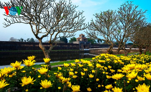 Cổng thành Huế ngắm nhìn từ chợ Hoa xuân.