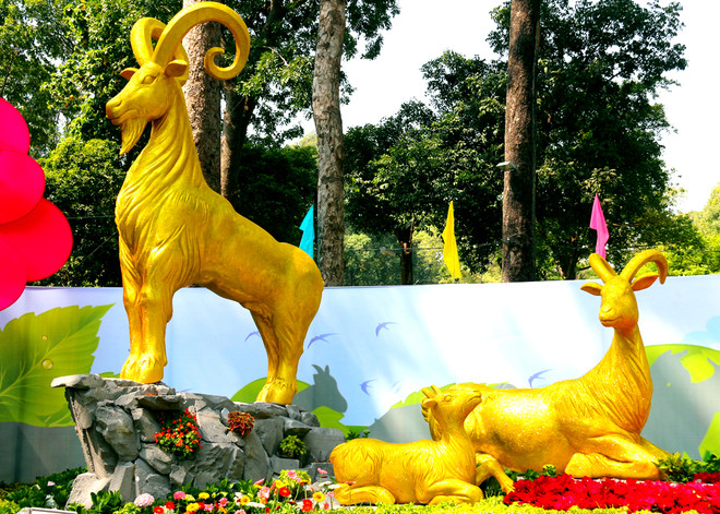 Trước cổng chính Hội hoa xuân ở đường Trương Định là 