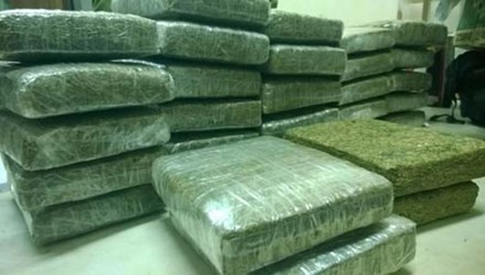 Tang vật 32 bánh cần sa trong vụ án. Tang vật 32 bánh cần sa trong vụ án.