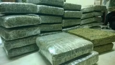 Tang vật 32 bánh cần sa trong vụ án.