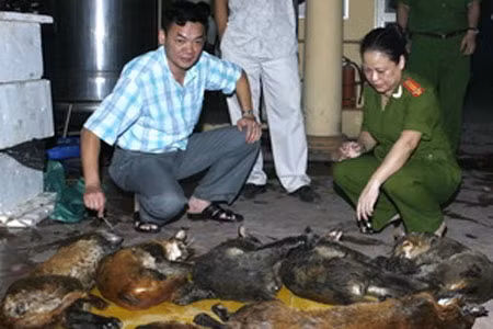 Kiểm tra số beo lửa vận chuyển trái phép 