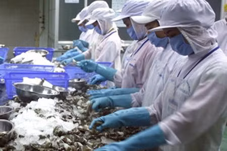 Việt Nam kiện vụ Mỹ áp thuế phá giá tôm lên WTO ảnh 1