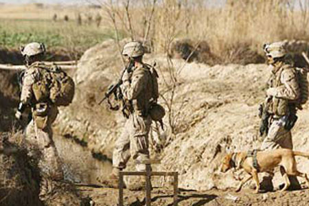 NATO tổng tấn công miền Nam Afghanistan ảnh 1 NATO tổng tấn công miền Nam Afghanistan ảnh 1