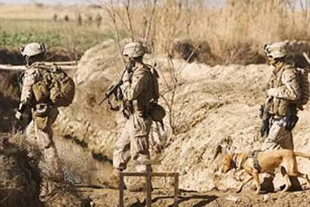 NATO tổng tấn công miền Nam Afghanistan ảnh 1