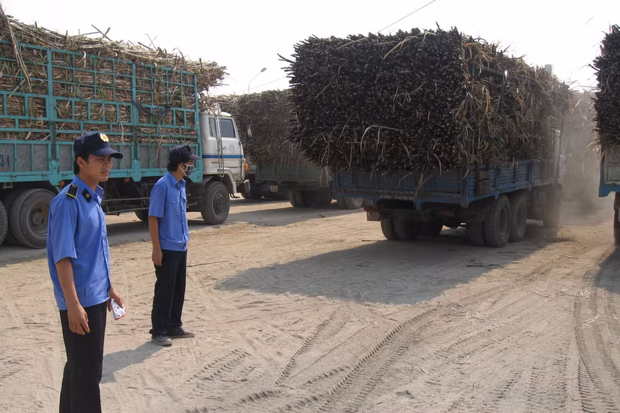 Mía cháy về nằm dài chờ trước cổng nhà máy. Ảnh: Đức Phương Mía cháy về nằm dài chờ trước cổng nhà máy. Ảnh: Đức Phương