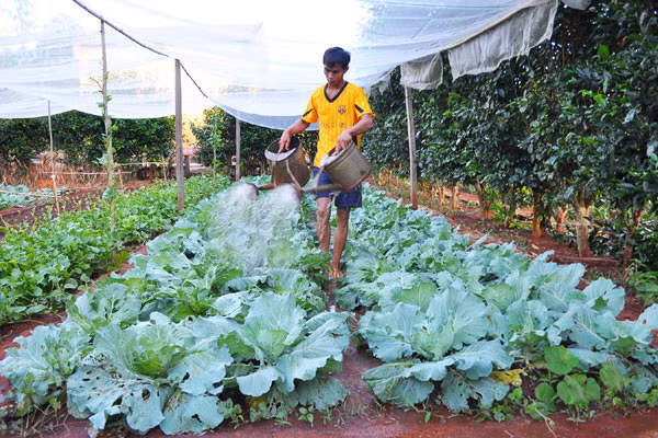 Ảnh: Nguyễn Giác