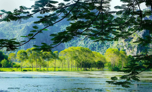  Núi non, sông nước hài hòa là những điểm nhấn thu hút ở suối ấu