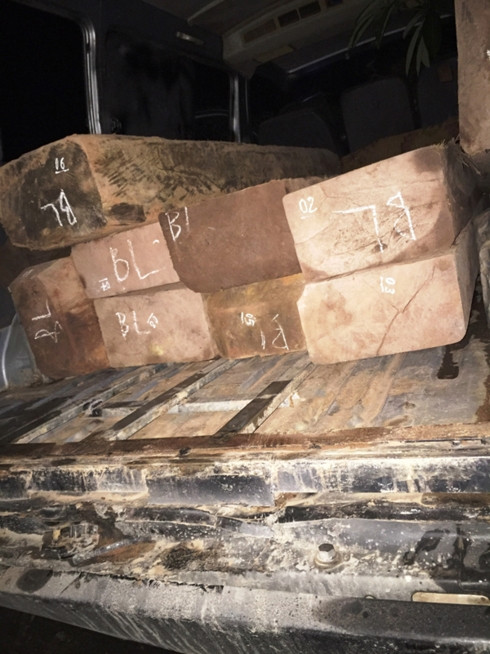  Chiếc xe khách chở một lượng lớn gỗ lậu.