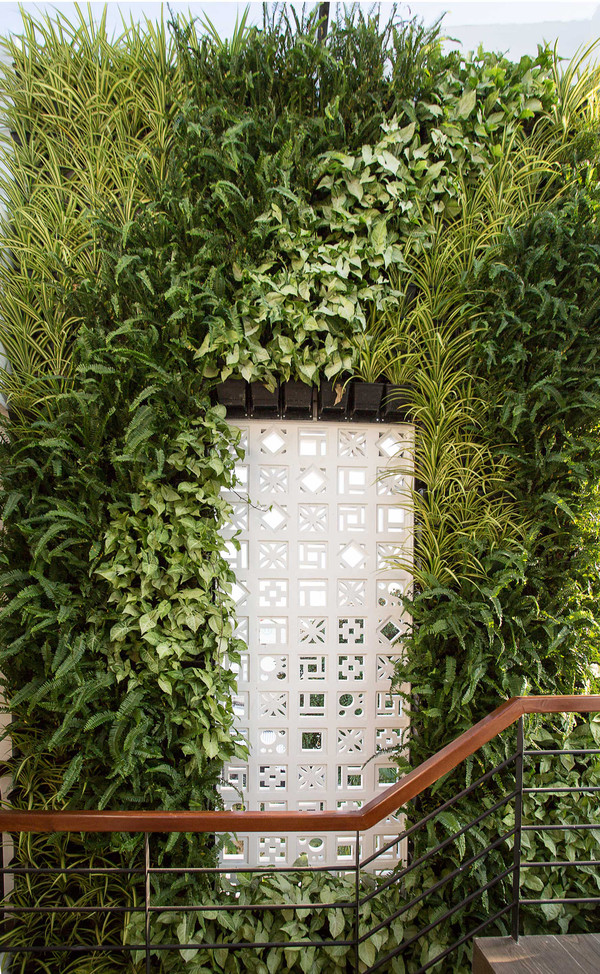 Mỗi khu vườn đứng là một dàn khung sắt, liên kết những chậu cây nhỏ và có một hệ thống tưới nước tự động. Dù ở không gian nào trong nhà, gia chủ đều có thể cảm nhận được sự xanh mát do các khu vườn này mang lại. Mỗi khu vườn đứng là một dàn khung sắt, liên kết những chậu cây nhỏ và có một hệ thống tưới nước tự động. Dù ở không gian nào trong nhà, gia chủ đều có thể cảm nhận được sự xanh mát do các khu vườn này mang lại.