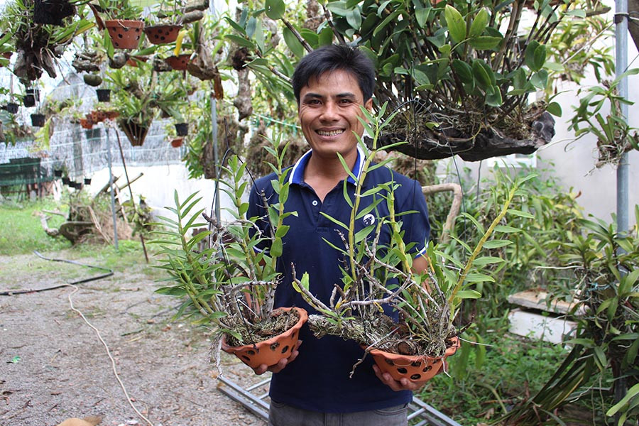 Anh Hải với hai chậu “Hoàng thảo đơn cam”-một trong số các loài lan quý đang được CLB cố gắng bảo tồn. Ảnh: Hồng Thi