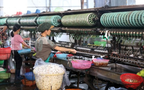  Công nhân đang sản xuất tại một nhà máy ở Đà Lạt, Việt Nam.(Ảnh: Godong/UIG/Getty Images)