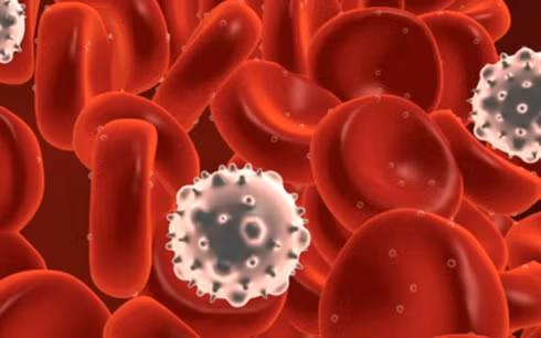  Thử nghiệm tế bào miễn dịch điều trị ung thư. (ảnh minh hoạ).