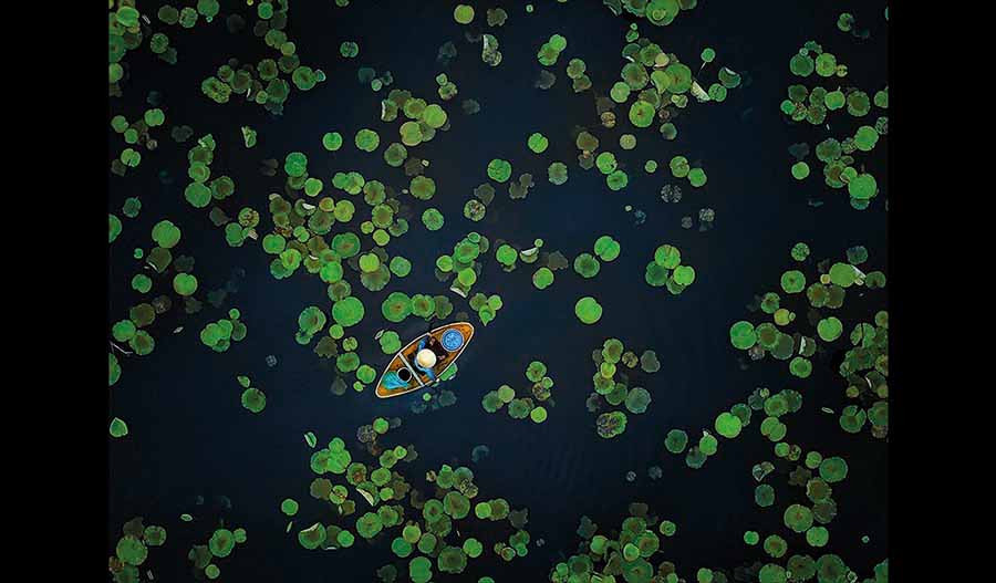 Tác phẩm “Mùa hè trên hồ sen” của nhiếp ảnh gia Vũ Mạnh Cường đạt Giải Đồng thể loại ảnh màu. Tác phẩm “Mùa hè trên hồ sen” của nhiếp ảnh gia Vũ Mạnh Cường đạt Giải Đồng thể loại ảnh màu.