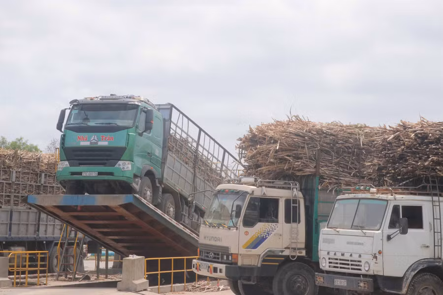 Từ ngày 3-12 Nhà máy Đường An Khê chính thức bước vào niên vụ ép 2018-2019. Ảnh: Ngọc Minh