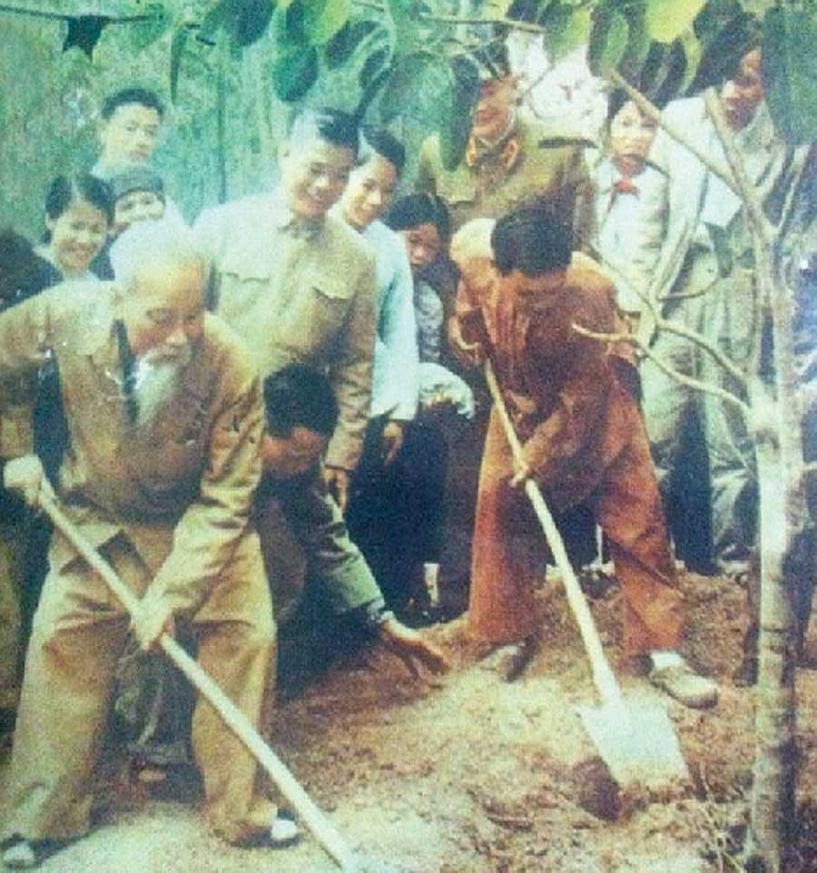 Bác Hồ tham gia Tết trồng cây tại Hà Tây năm 1969 (ảnh tư liệu). Bác Hồ tham gia Tết trồng cây tại Hà Tây năm 1969 (ảnh tư liệu).
