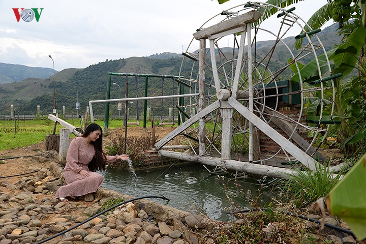Tại vườn cúc họa mi ở Mường La còn có cọn nước, là một trong những nét đặc trưng của núi rừng Tây Bắc.