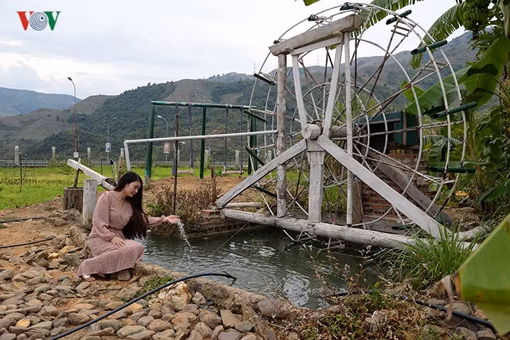 Tại vườn cúc họa mi ở Mường La còn có cọn nước, là một trong những nét đặc trưng của núi rừng Tây Bắc.