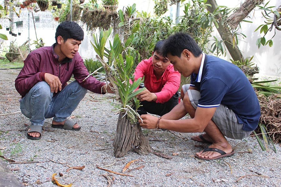  Các thành viên CLB chia sẻ kinh nghiệm chiết ghép lan. Ảnh: H.T