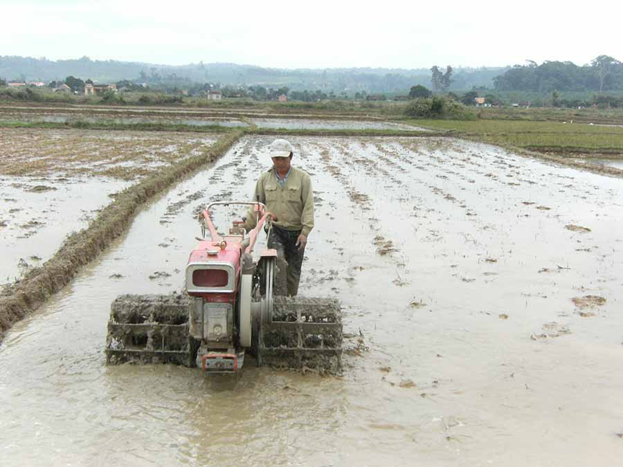 Người dân huyện Ia Grai (Gia Lai) làm đất chuẩn bị gieo sạ lúa Đông Xuân. Ảnh: L.N Người dân huyện Ia Grai làm đất chuẩn bị gieo sạ lúa Đông Xuân. Ảnh: L.N