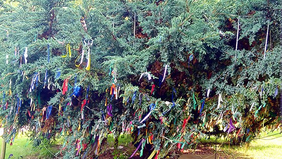 Cây ước nguyện ở Trung tâm Tây Tạng và tu viện Phật giáo tại Eskdalemuir - Scotland Cây ước nguyện ở Trung tâm Tây Tạng và tu viện Phật giáo tại Eskdalemuir - Scotland