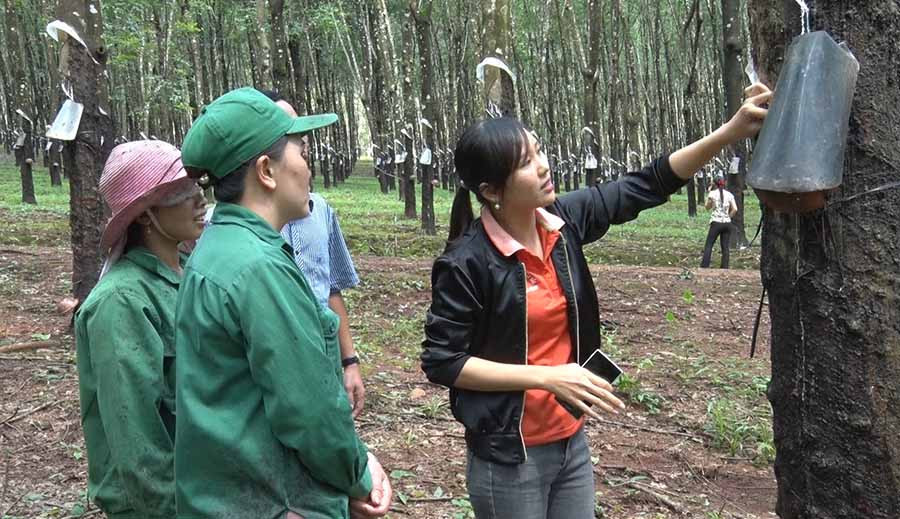  Cán bộ kỹ thuật hướng dẫn công nhân quy trình khai thác theo sáng kiến mới. Ảnh: H.Đ.T