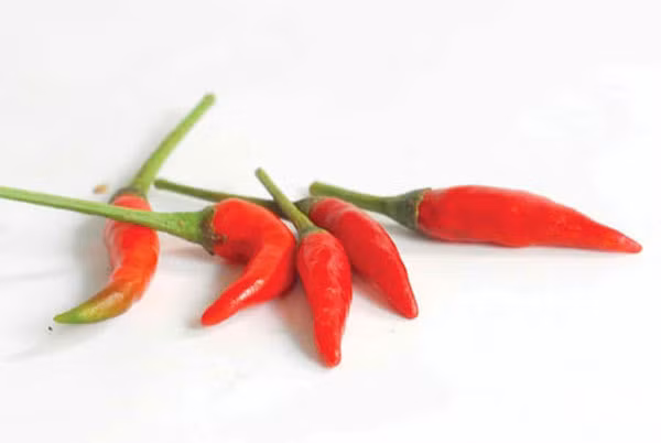 Mang quả ớt cũng bị cấm