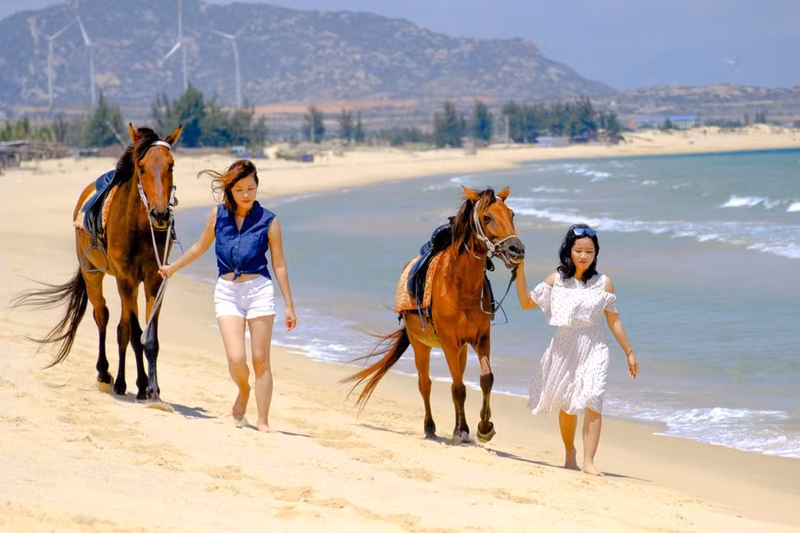 Dùng ngựa tham quan đồi cát tại Mũi Dinh