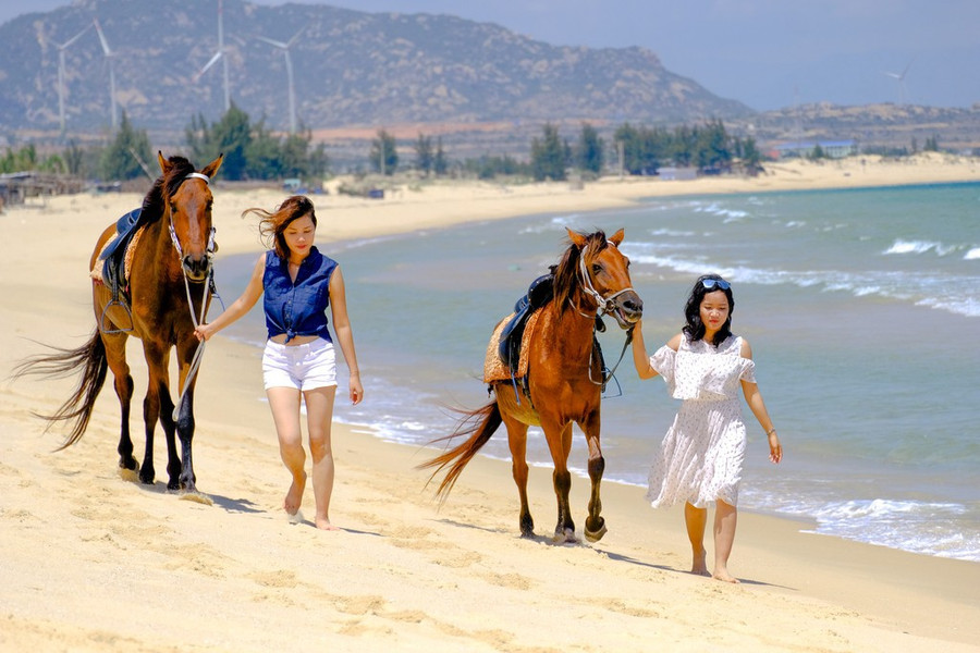 Dùng ngựa tham quan đồi cát tại Mũi Dinh