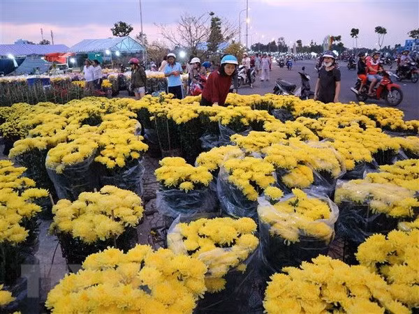  (Ảnh minh họa: Kim Há/TTXVN).