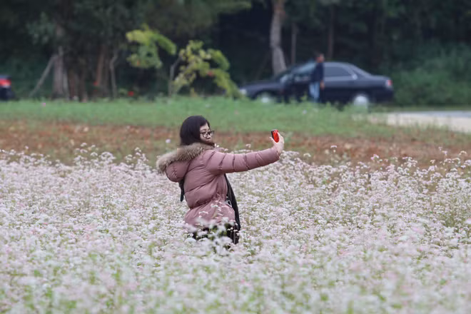  Chị Phạm Quỳnh Hoa (quận Hai Bà Trưng, Hà Nội) chia sẻ: “Tôi rất thích hoa, đặc biệt là hoa tam giác mạch, nhưng chưa có dịp đến Hà Giang để chiêm ngưỡng. Thật tuyệt vời khi được ở giữa cánh đồng và cảm nhận mùi hương của hoa mà không cần phải lên tận Hà Giang