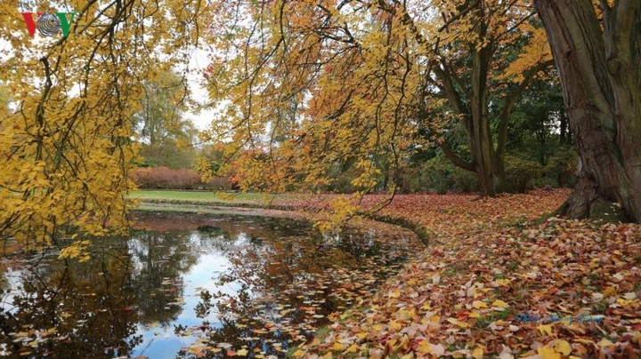  Mùa thu ở đây bắt đầu bằng sự thay sắc của các khu rừng, công viên, những hàng cây bên bờ kênh, và kết thúc khi cây rụng lá.