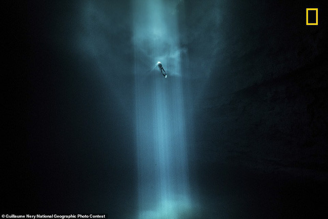 Nhiếp ảnh gia người Pháp Guillaume Néry đi đến Mexico để chụp bức ảnh tuyệt đẹp này. Anh chia sẻ: “Đây là một hố sâu tự nhiên với màu nước trong vắt ở Trung Mỹ. Những người dân Mayan coi đây như một nơi linh thiêng. Tại trung tâm của rừng Yucatàn, một thợ lặn tự do đã lặn sâu xuống làn nước với sự dẫn đường của ánh sáng mặt trời.”