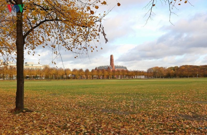 Hãy chiêm ngưỡng những cánh rừng thơ mộng ngập chìm trong các gam màu rực rỡ dưới nắng mai, và lắng nghe tiếng xào xạc của những chiếc lá thi nhau rụng xuống mặt đường…